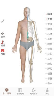 3D BODY(经络穴位3D)