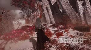光与影33号远征队绯红森林怎么探索