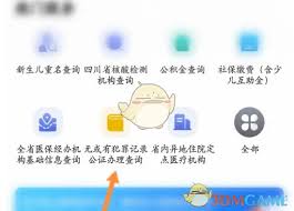 天府通办如何开具无犯罪证明