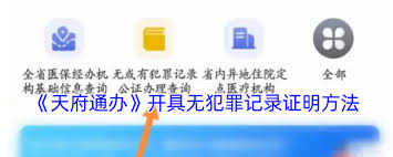天府通办如何开具无犯罪证明