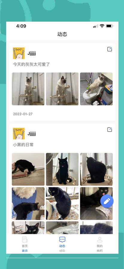 伴宠苹果版2