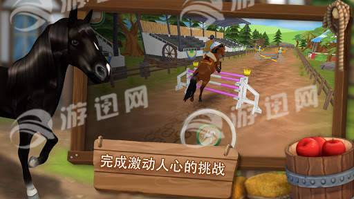 照顾马儿们1