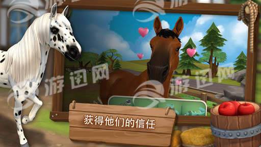 照顾马儿们2