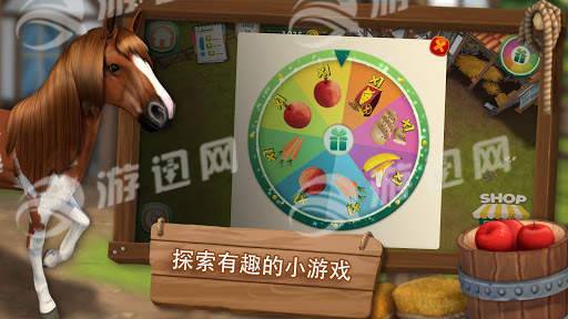 照顾马儿们3
