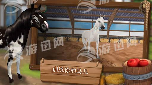 照顾马儿们4