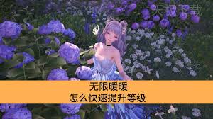 无限暖暖如何快速升级