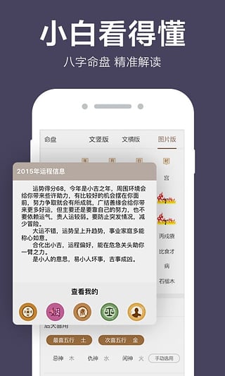 易奇八字算命大师5