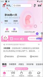 妈妈网孕育如何设置预产期