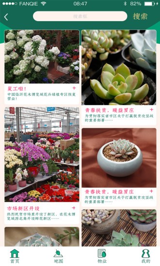 掌上花木2