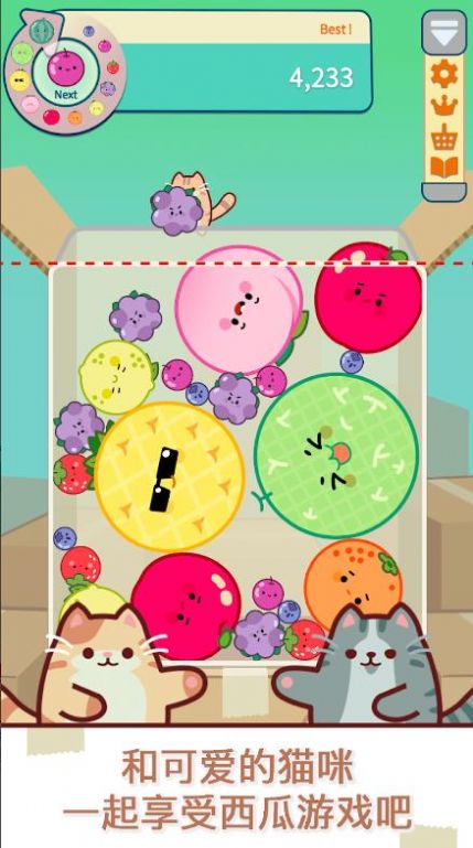 猫和西瓜4