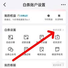 手机如何关闭京东白条
