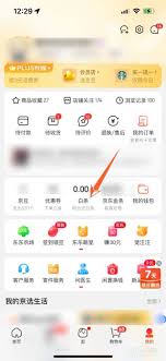 手机如何关闭京东白条