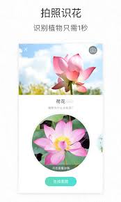 形色app如何识别植物
