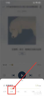 看理想app如何实现倍速播放