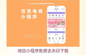 微信去水印小程序是什么
