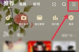 酷狗皮肤怎么设置