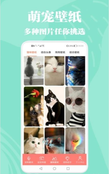 猫狗动物交流器3
