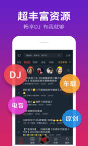 DJ多多会员如何开启自动扣费