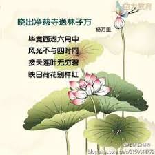 接天莲叶无穷碧映日荷花别样红描写的是哪个湖