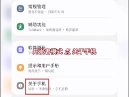 如何打开三星手机开发者模式
