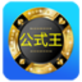 公式王冠军大小计划