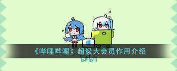 哔哩哔哩超级大会员有啥作用