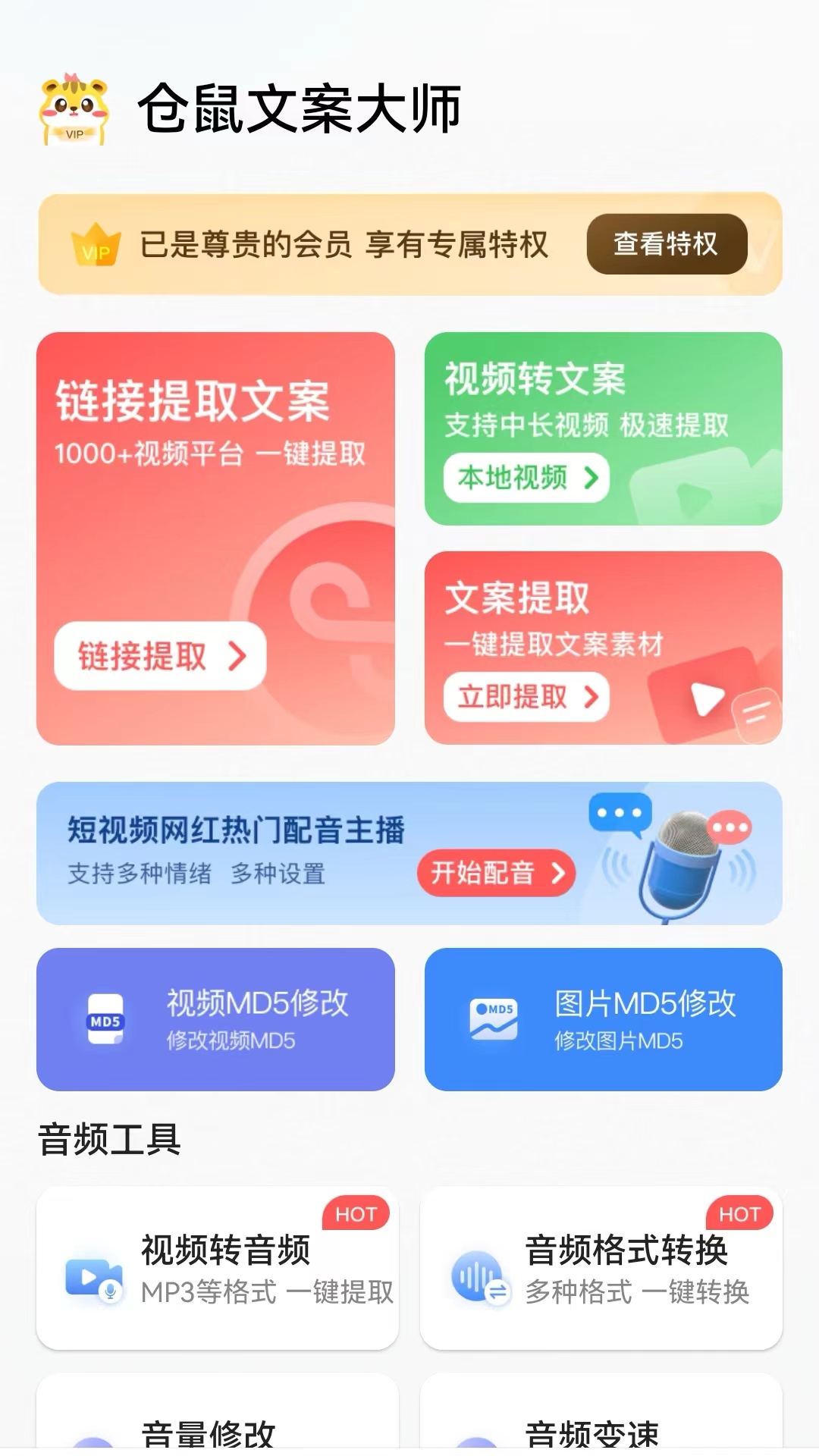 仓鼠文案大师1