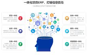 ERP管理软件实施步骤是什么