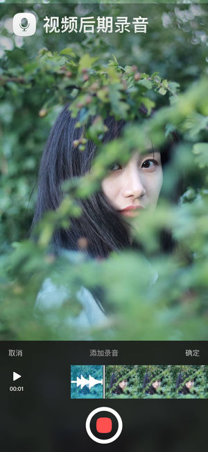 猫饼4