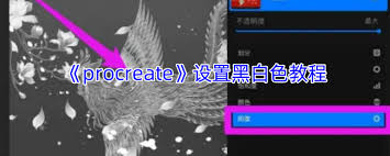 procreate如何调成黑白色