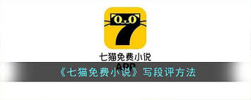 七猫免费小说如何写段落评语