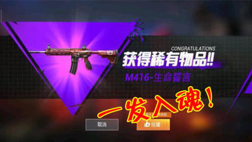 和平精英开箱模拟器4