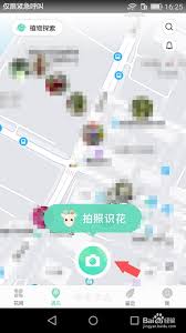 形色app怎么找桑树