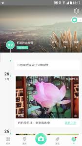 形色app怎么找桑树