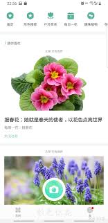 形色app怎么找桑树