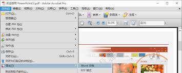 如何将pdf转成word文档格式