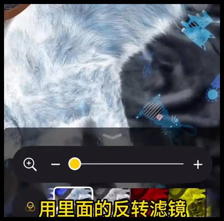 iPhone怎么检查虫子