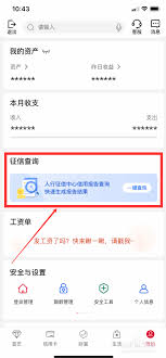手机上怎么查个人征信中心官网