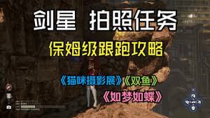 剑星(星刃)双鱼委托怎么玩