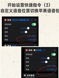 deepseek语音对话怎么开启
