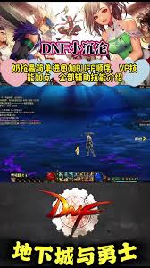 DNF17周年庆奶妈怎么加点