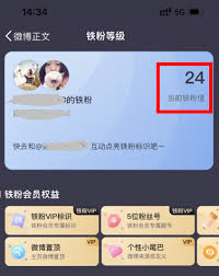 如何在新浪微博成为铁粉