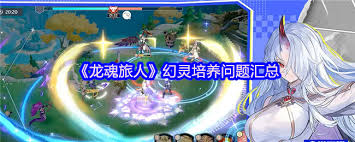 龙魂旅人传说幻灵怎么培养