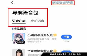 如何设置高德地图语音包