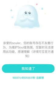 soul被暂时封禁如何快速解禁