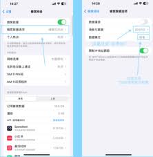 大麦网悬浮时钟如何设置