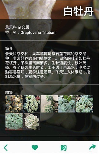 多肉植物软件3