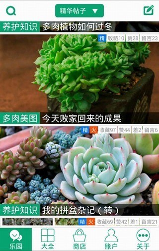 多肉植物软件5