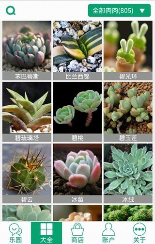 多肉植物软件