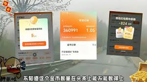 红果钻石与金币的区别是什么